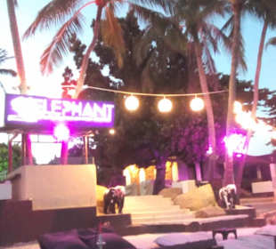 Beachclub