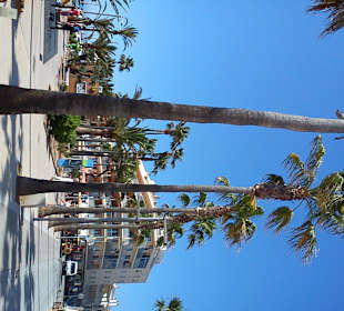 Colonia esplanade