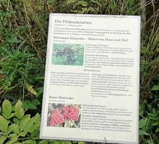 Schaugarten Eninger Weide