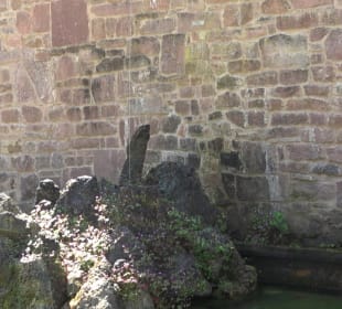 Wasserbecken Vater Rhein - Neptunbrunnen