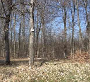 Geologischer Lehrpfad Kirnbachtal