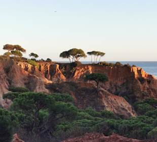 Wandern Olhos de Água