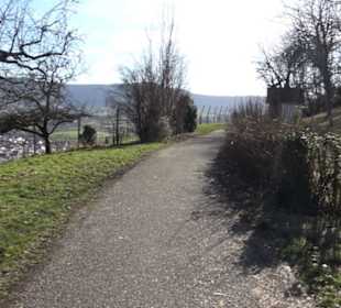 Weinerlebnisweg