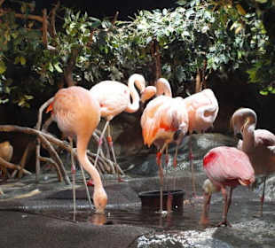 Monterey Bay Aquarium