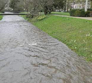 Wanderungen in Baden-Baden und Umgebung