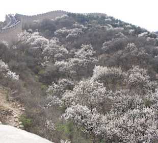 The Great Wall // Winter fading away