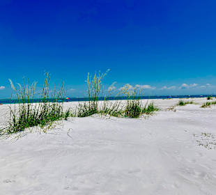 Strand Bradenton