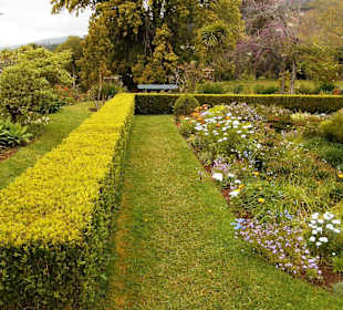 Palheiro Gardens