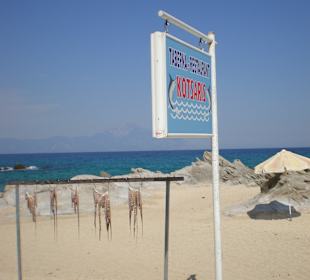 Frischer Tintenfisch..direkt am Strand
