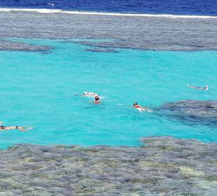 Schnorcheln Makadi Bay