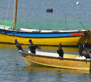 Boote im Fischerhafen von Ferragudo