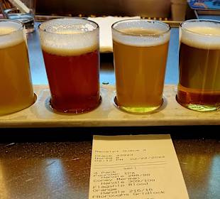 Probe verschiedener Biere in kleinen Gläsern 