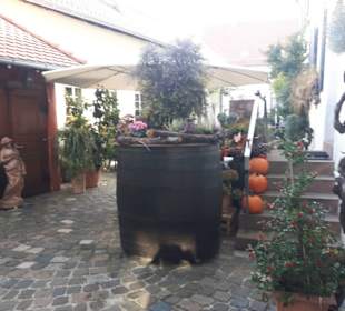 Rhodt unter Rietburg