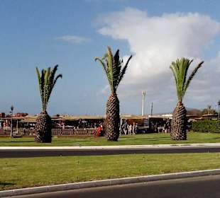 Afrikanischer Markt Caleta de Fuste in Caleta de F