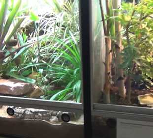 Niedersächsisches Landesmuseum