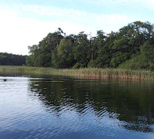 Am Ende vom Tietzowsee