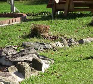 Stadtrundgang Titisee