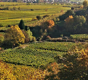 Wandern Bad Dürkheim