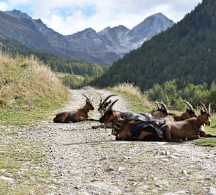 Wandern Senales / Schnals
