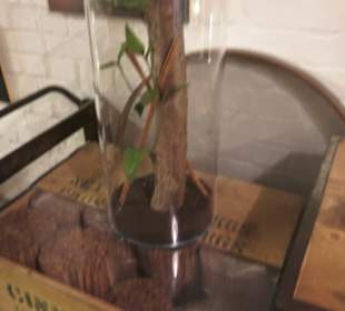 Spicy's Gewürzmuseum