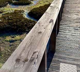 Der Weg ist das Ziel