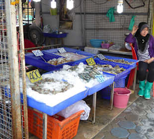Große Auswahl von frischem aus dem Meer