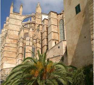 Blick auf die Kathedrale