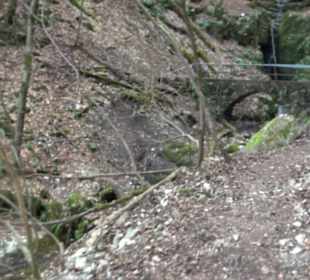 Wolfsschlucht