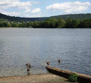 Impressionen vom Echternacher See