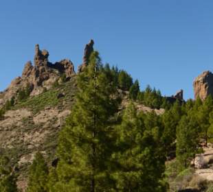 Blick zu den Felsformationen am Roque Nublo