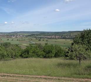 Früchtetrauf - Wurmlinger Kapellenwegle