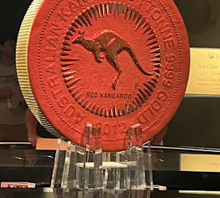 Red Kangaroo