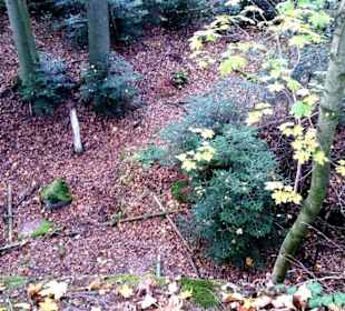 Tiefe pur ca 20Meter am Vestner Turm