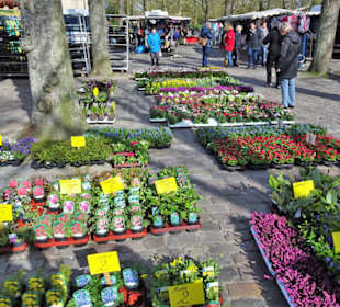 Rundgang über den Wochenmarkt Norden