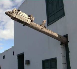 Bodega + Museum El Grifo