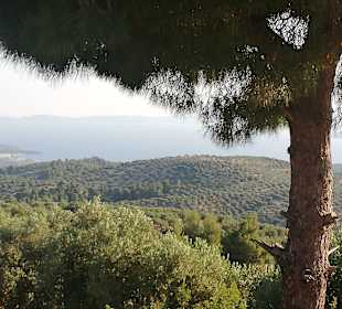Wandern Sarti