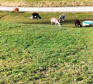 Wandern Untergriesbach