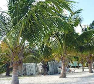 Beach von Cayo Blanco