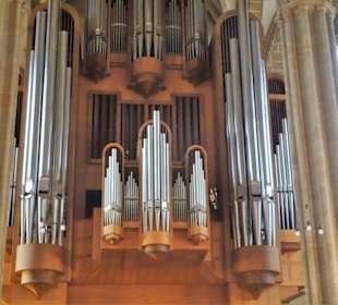 Die Orgel des Erfurter Doms