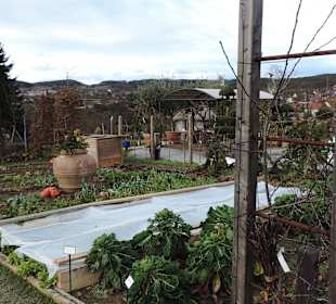 Kittenberger Erlebnisgarten