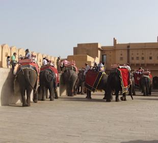 Elefanti al forte rosso