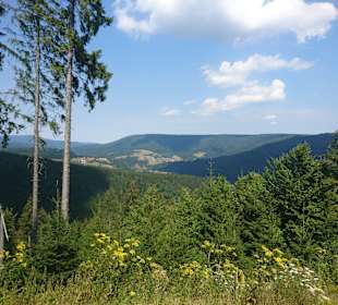 Wandern Bannwald Baiersbronn