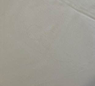 Haare im Bett 