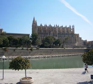 Palma