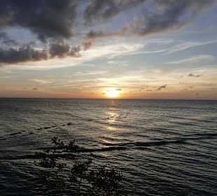 Ricks Cafe. Privater Ausflug mit Willi.