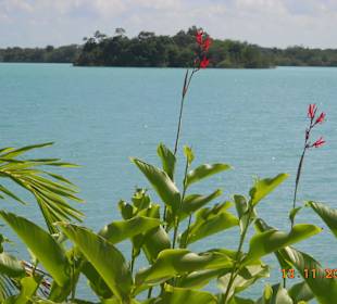 Cenote am Restaurant