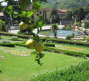 Garten und Villa Garzoni in Collodi