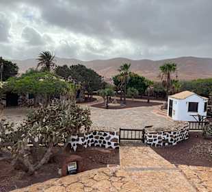 Aussicht von der Windmühle 