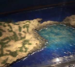 Naturhistorisches Museum