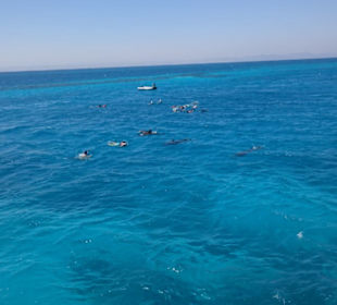 Ging den ganzen Tag so